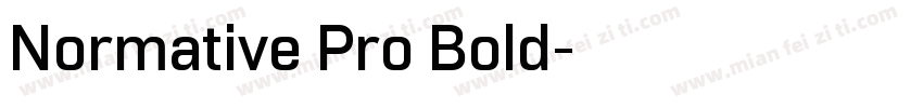 Normative Pro Bold字体转换